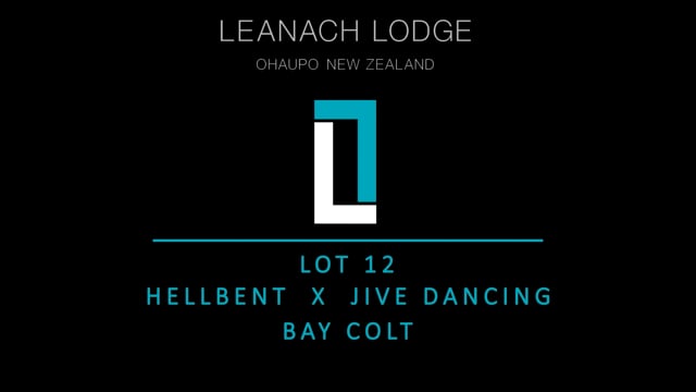 Lot 12