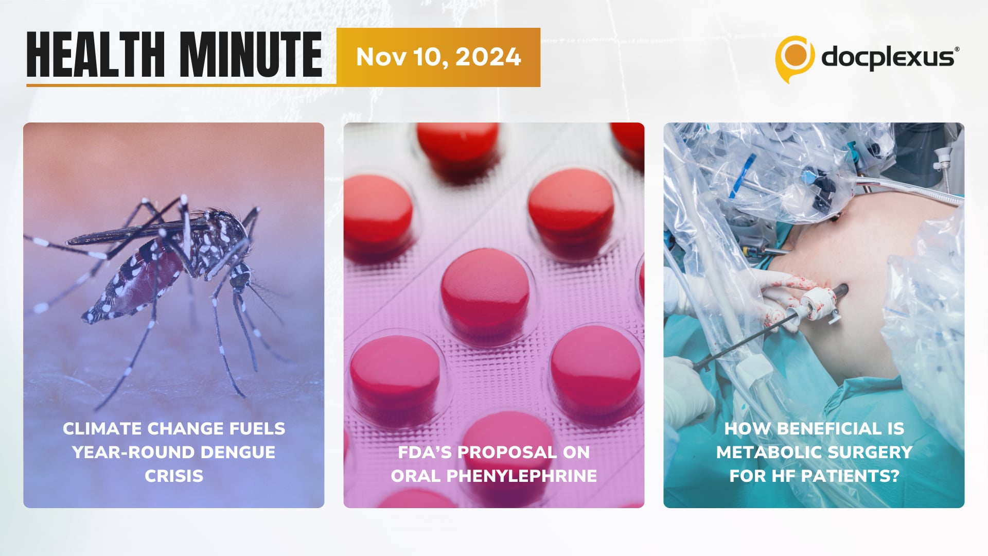 Climate Change Fuels Year-round Dengue Crisis