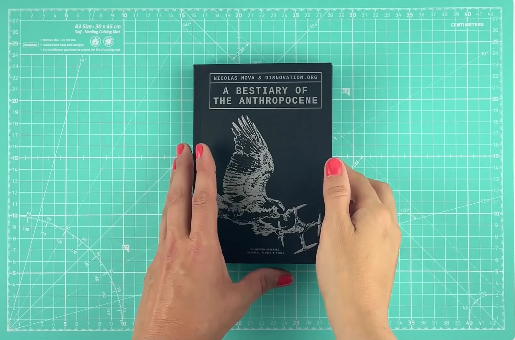 A Bestiary of the Anthropocene - Set Margins'