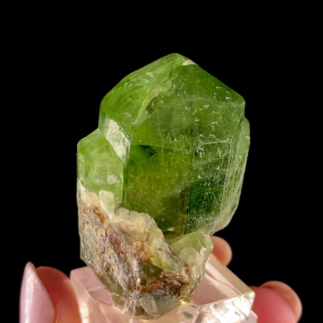 Forsterite var: Peridot (sharp gemmy crystal)