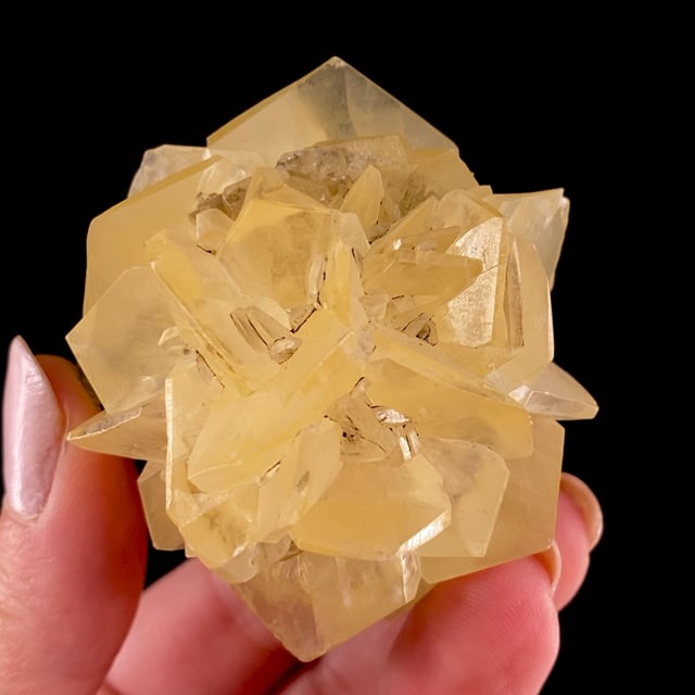 Gypsum var: Selenite (''floater'' specimen)