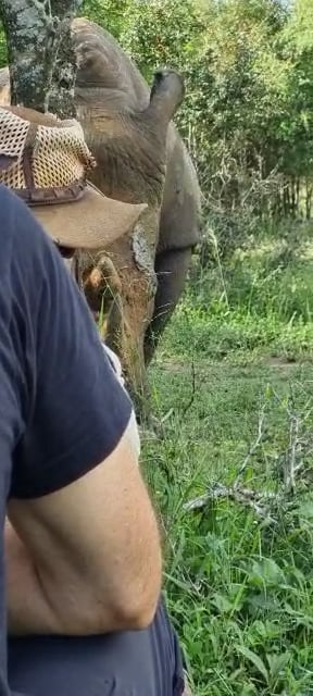 https://i.vimeocdn.com/video/1948284775-3421b1122a6c5c4cbd04539cb086c417e5a68baa5b9009d9800fb8d301d3448e-d