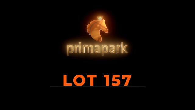 Lot 157