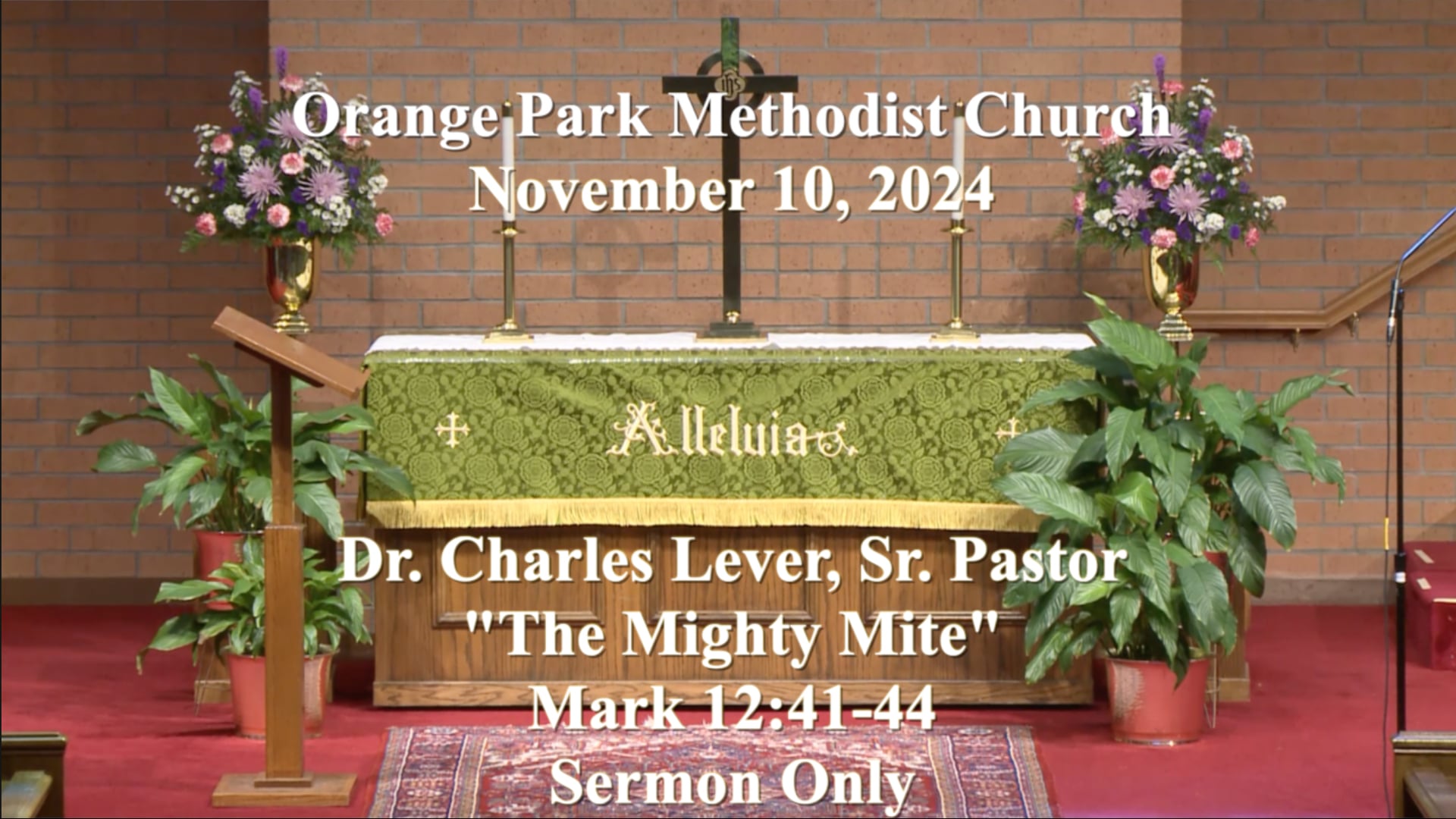 November 10, 2024 Sermon Only