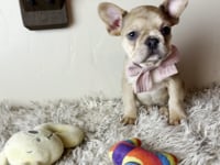 Watch me play!