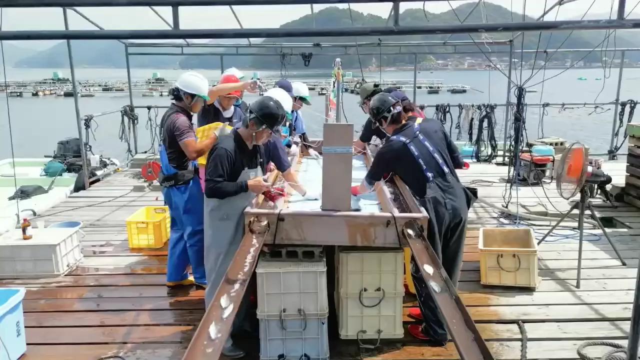 水産大百科事典 水産大百科事典 （普及版）｜朝倉書店