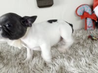 Watch me play!