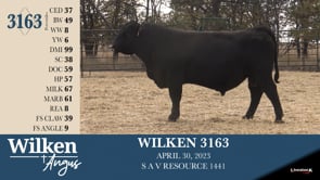 Lot #3163 - WILKEN 3163