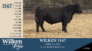 Lot #3167 - WILKEN 3167