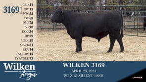Lot #3169 - WILKEN 3169