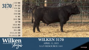 Lot #3170 - WILKEN 3170