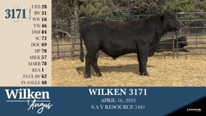 Lot #3171 - WILKEN 3171