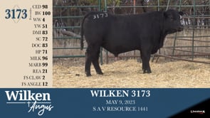 Lot #3173 - WILKEN 3173