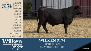 Lot #3174 - WILKEN 3174