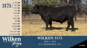 Lot #3175 - WILKEN 3175