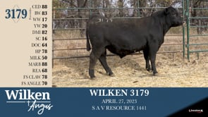 Lot #3179 - WILKEN 3179