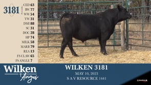 Lot #3181 - WILKEN 3181