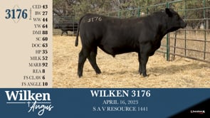 Lot #3176 - WILKEN 3176