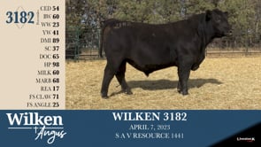 Lot #3182 - WILKEN 3182