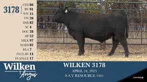 Lot #3178 - WILKEN 3178
