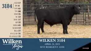 Lot #3184 - WILKEN 3184