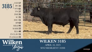 Lot #3185 - WILKEN 3185