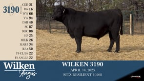 Lot #3190 - WILKEN 3190