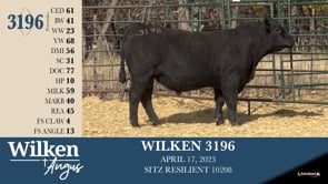 Lot #3196 - WILKEN 3196