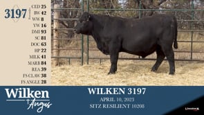 Lot #3197 - WILKEN 3197