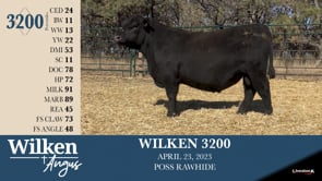 Lot #3200 - WILKEN 3200