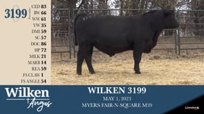 Lot #3199 - WILKEN 3199