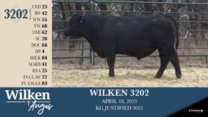Lot #3202 - WILKEN 3202