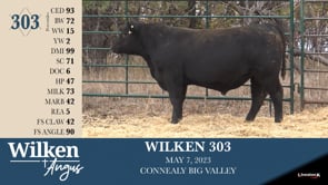 Lot #303 - WILKEN 303