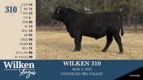 Lot #310 - WILKEN 310