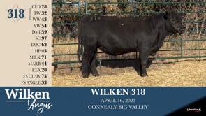 Lot #318 - WILKEN 318