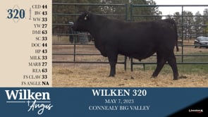 Lot #320 - WILKEN 320