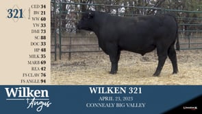 Lot #321 - WILKEN 321