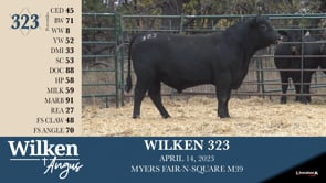 Lot #323 - WILKEN 323