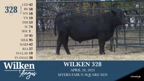 Lot #328 - WILKEN 328