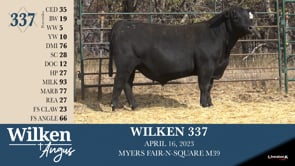 Lot #337 - WILKEN 337