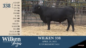 Lot #338 - WILKEN 338