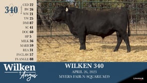 Lot #340 - WILKEN 340