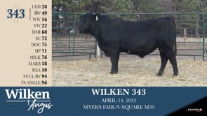 Lot #343 - WILKEN 343