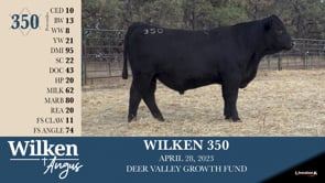 Lot #350 - WILKEN 350