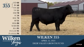 Lot #355 - WILKEN 355