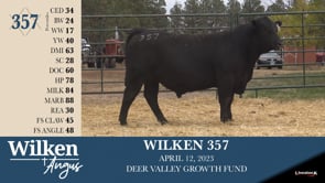 Lot #357 - WILKEN 357