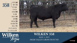 Lot #358 - WILKEN 358