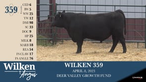 Lot #359 - WILKEN 359