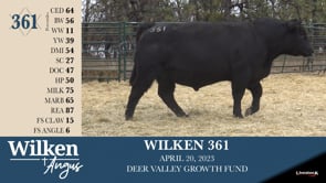 Lot #361 - WILKEN 361