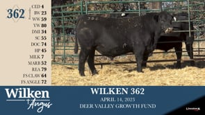 Lot #362 - WILKEN 362